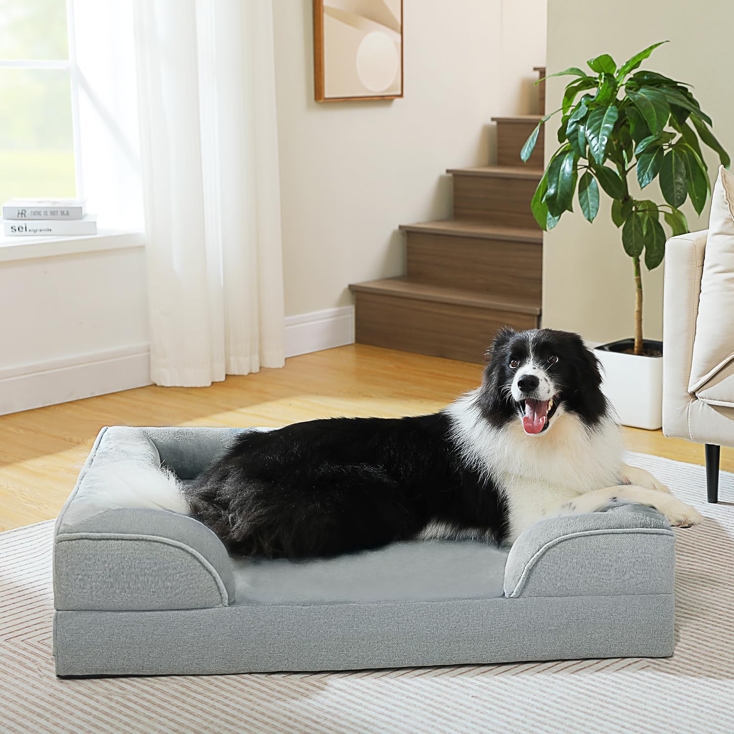 Low-Entry Orthopedic Bed for Large Dogs — Waterproof