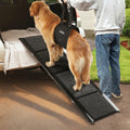 Dog using a pet ramp to get into a vehicle with a person assisting.