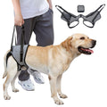 Dog wearing a gray harness with a person holding it, inset showing the harness design.
