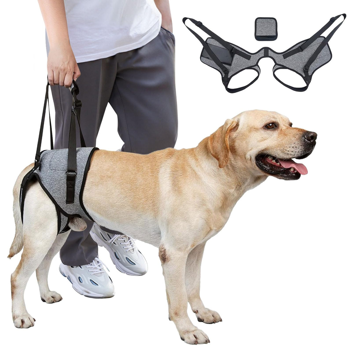 Dog wearing a gray harness with a person holding it, inset showing the harness design.